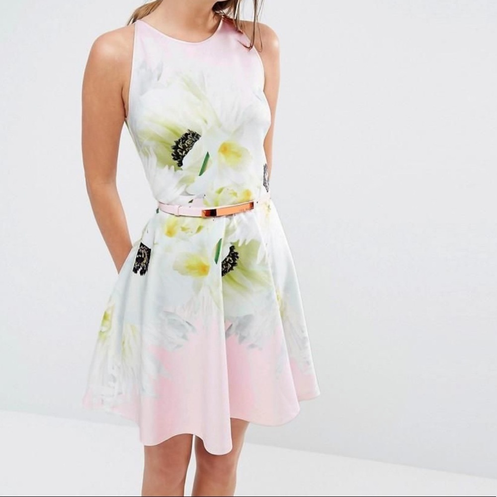 Ted Baker London Skater Dress